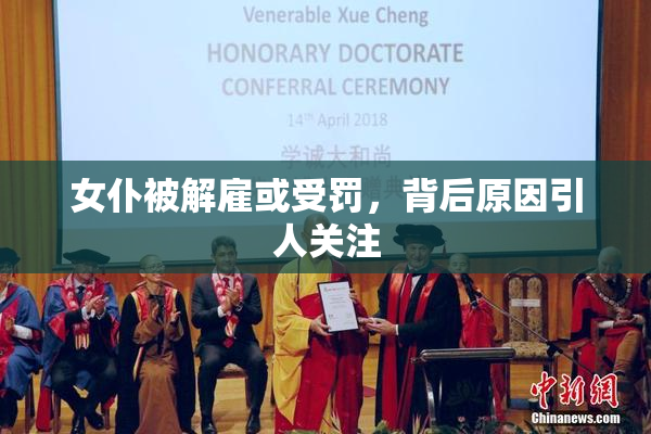 女仆被解雇或受罚，背后原因引人关注