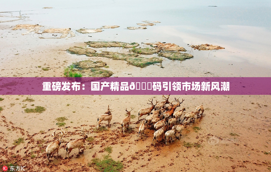 重磅发布：国产精品🈚码引领市场新风潮