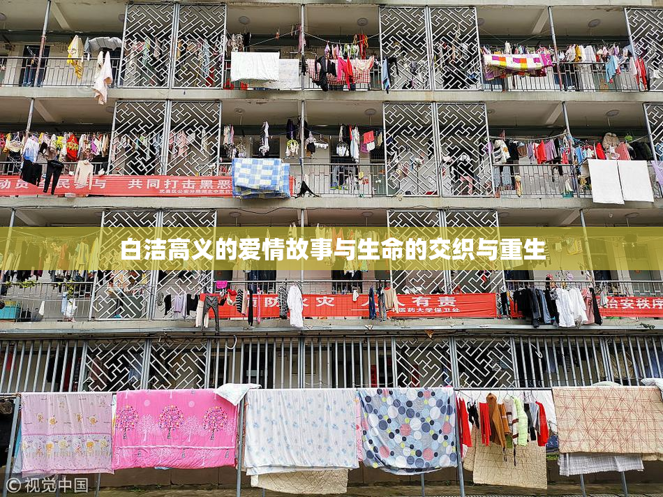 白洁高义的爱情故事与生命的交织与重生