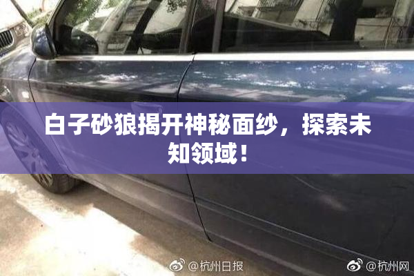 白子砂狼揭开神秘面纱，探索未知领域！