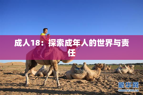 成人18：探索成年人的世界与责任