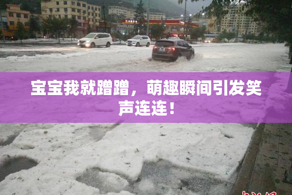宝宝我就蹭蹭，萌趣瞬间引发笑声连连！