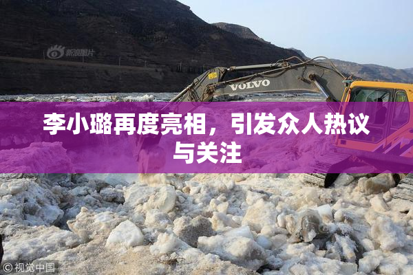 李小璐再度亮相，引发众人热议与关注