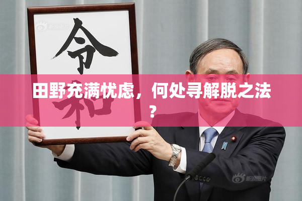 田野充满忧虑，何处寻解脱之法？