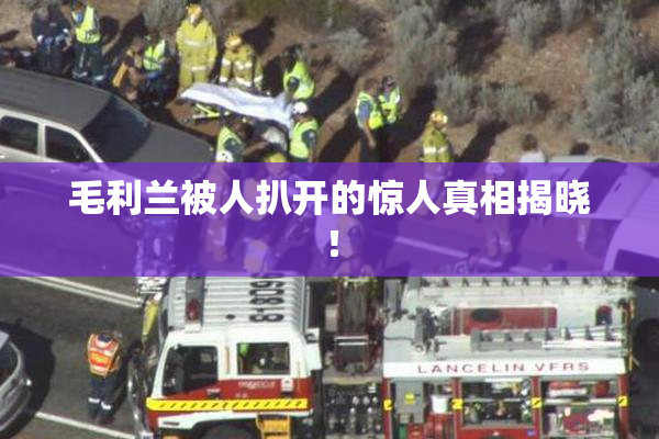毛利兰被人扒开的惊人真相揭晓！