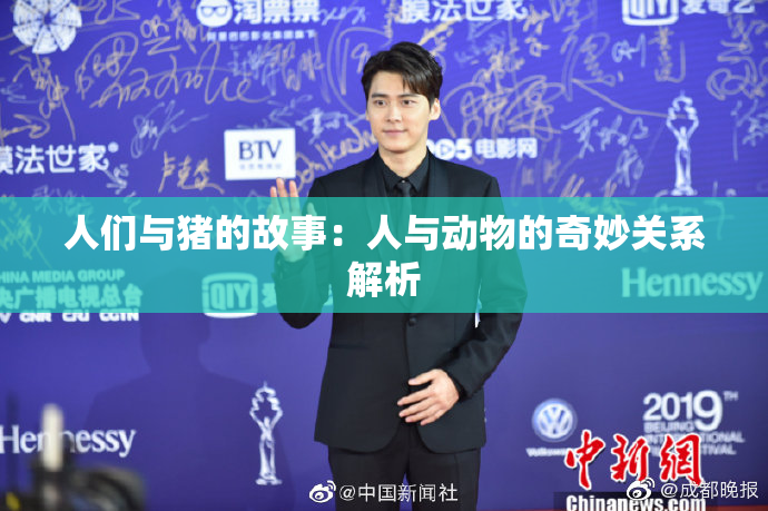 人们与猪的故事：人与动物的奇妙关系解析