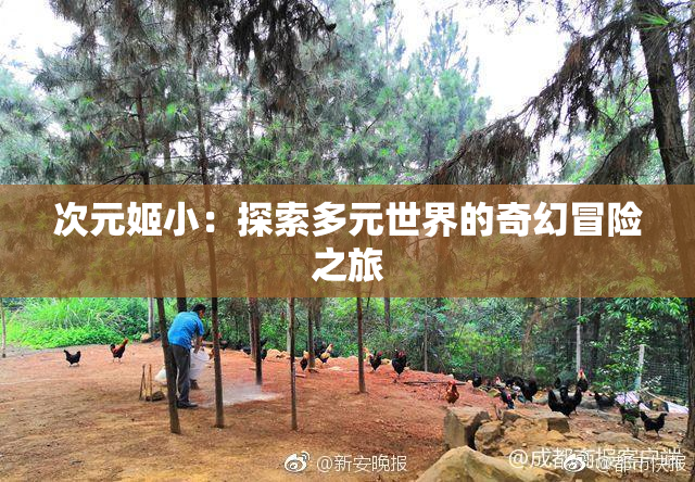 次元姬小：探索多元世界的奇幻冒险之旅