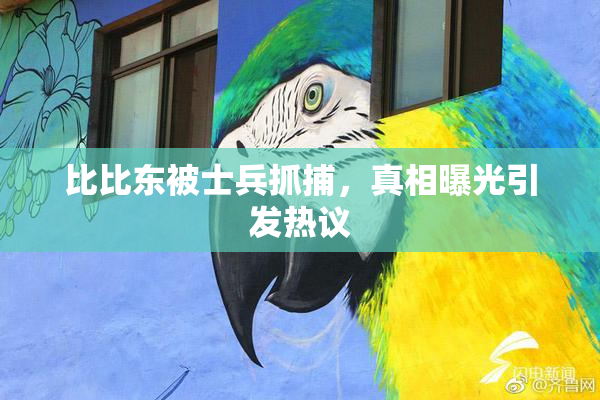 比比东被士兵抓捕，真相曝光引发热议