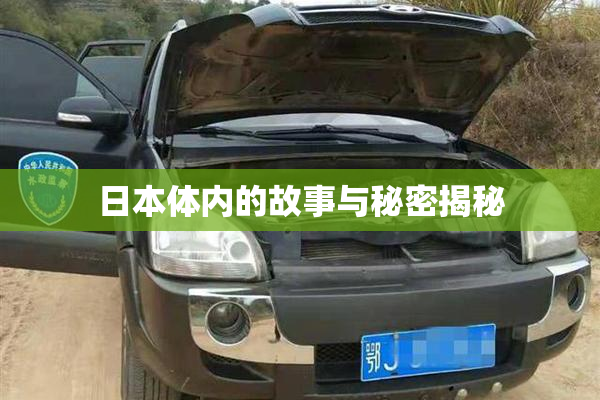 日本体内的故事与秘密揭秘