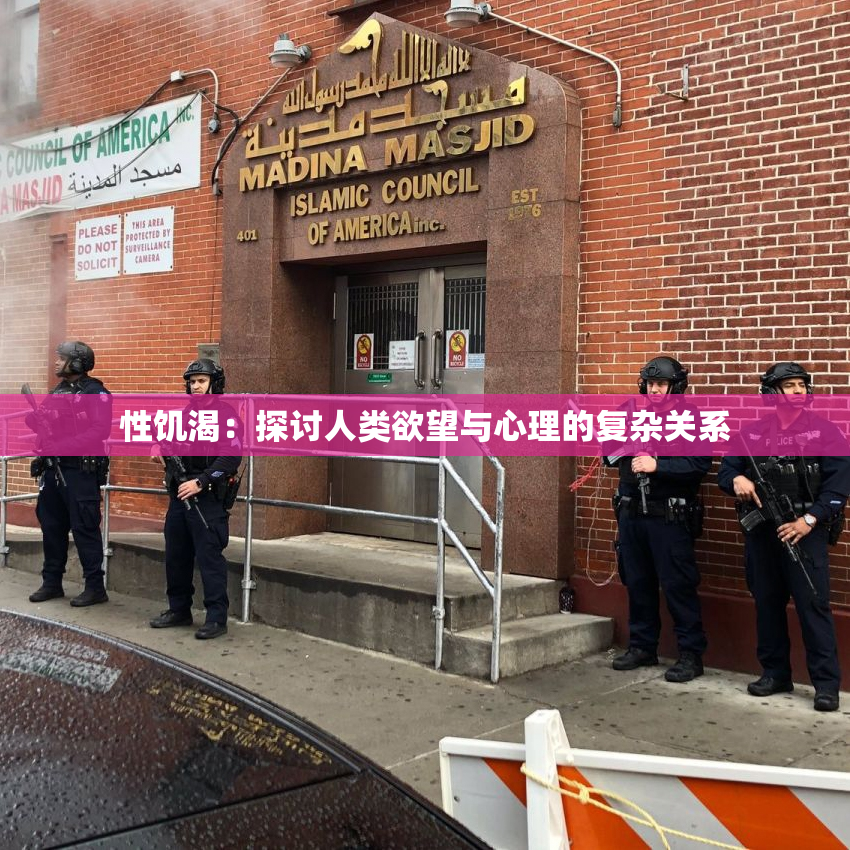 性饥渴：探讨人类欲望与心理的复杂关系