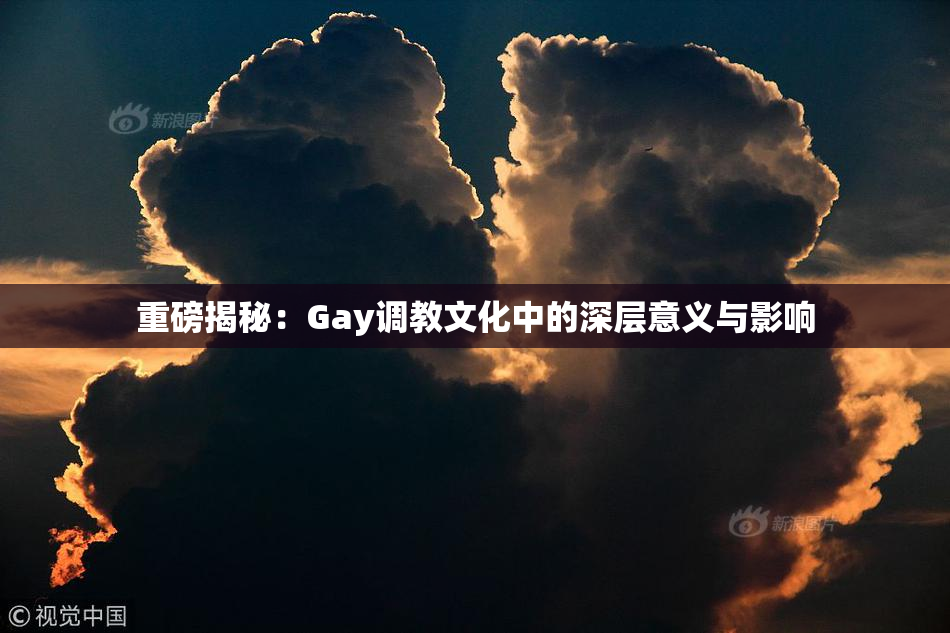 重磅揭秘：Gay调教文化中的深层意义与影响