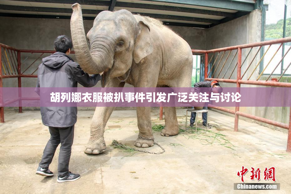 胡列娜衣服被扒事件引发广泛关注与讨论