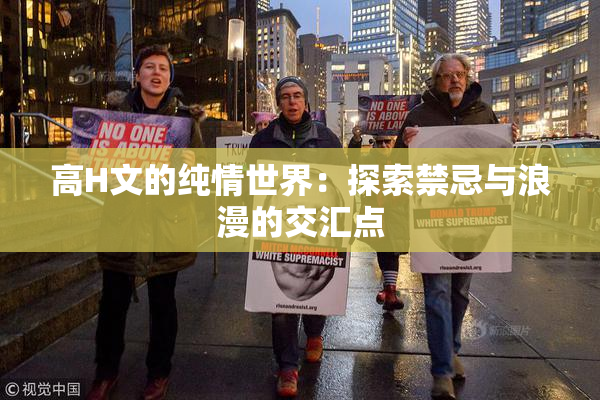 高H文的纯情世界：探索禁忌与浪漫的交汇点