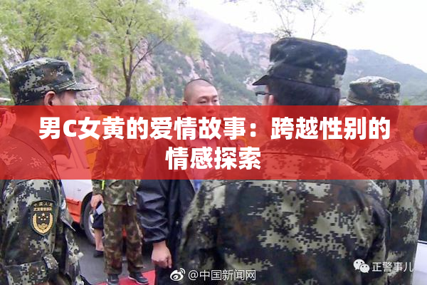 男C女黄的爱情故事：跨越性别的情感探索