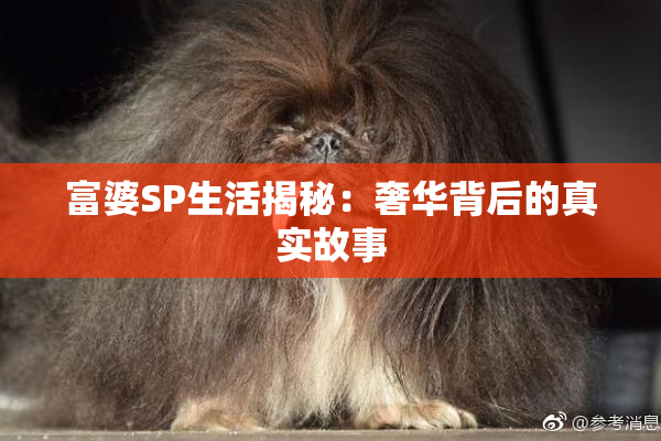 富婆SP生活揭秘：奢华背后的真实故事