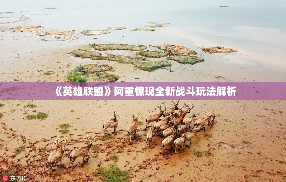 《英雄联盟》阿重惊现全新战斗玩法解析
