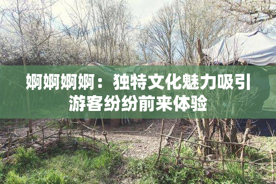 婀婀婀婀：独特文化魅力吸引游客纷纷前来体验