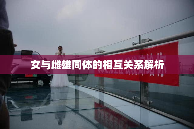女与雌雄同体的相互关系解析