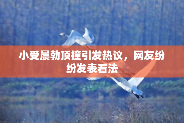 小受晨勃顶撞引发热议，网友纷纷发表看法
