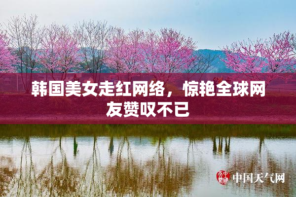 韩国美女走红网络，惊艳全球网友赞叹不已