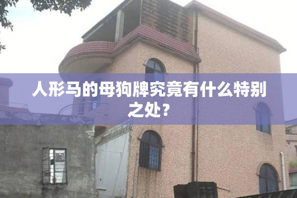 人形马的母狗牌究竟有什么特别之处？