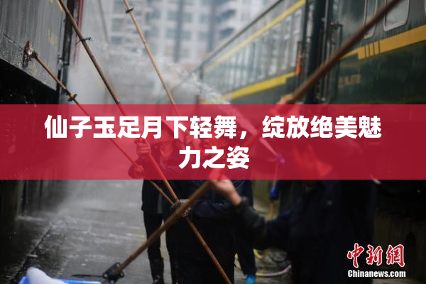 仙子玉足月下轻舞，绽放绝美魅力之姿