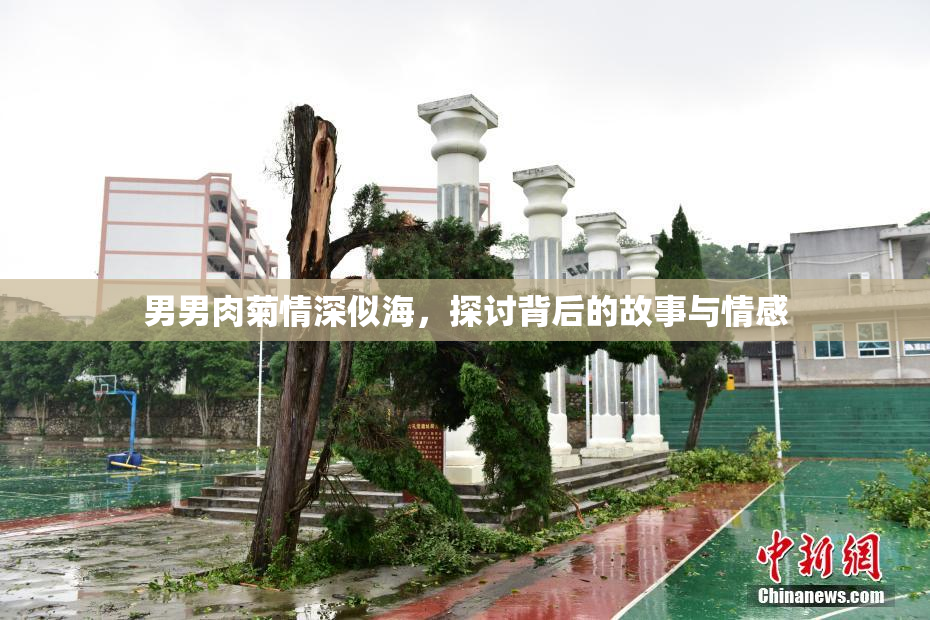 男男肉菊情深似海，探讨背后的故事与情感