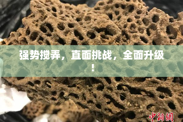 强势搅弄，直面挑战，全面升级！