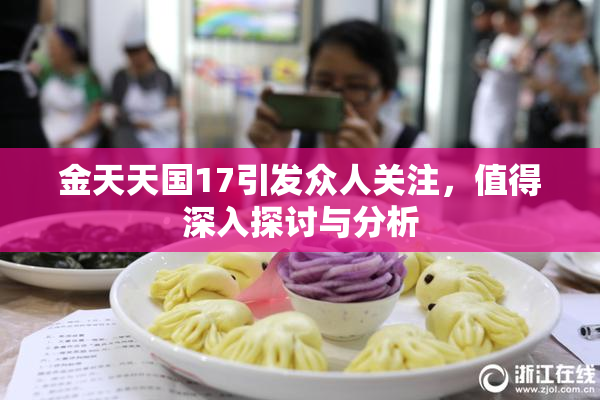 金天天国17引发众人关注，值得深入探讨与分析
