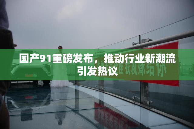 国产91重磅发布，推动行业新潮流引发热议