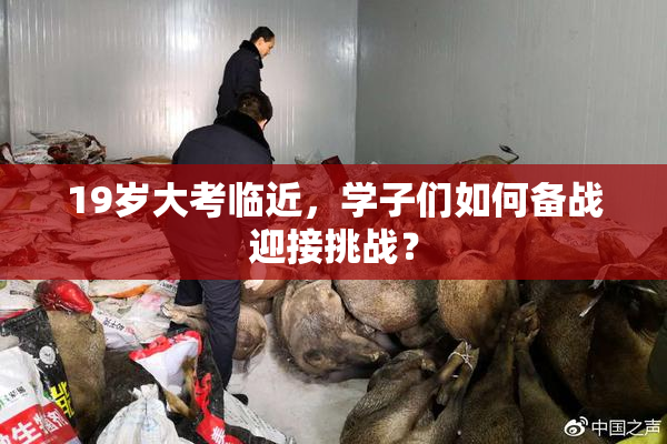 19岁大考临近，学子们如何备战迎接挑战？
