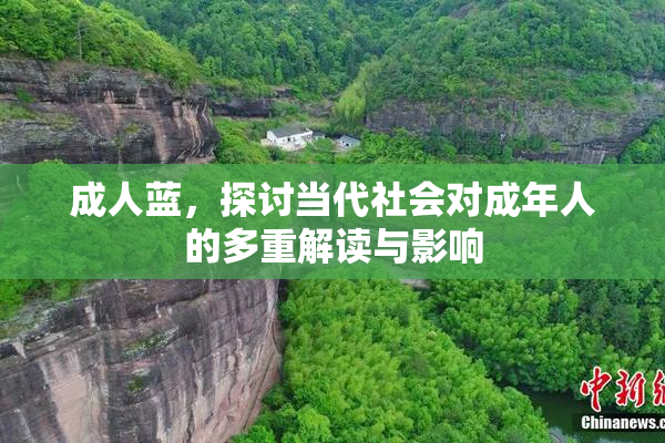 成人蓝，探讨当代社会对成年人的多重解读与影响