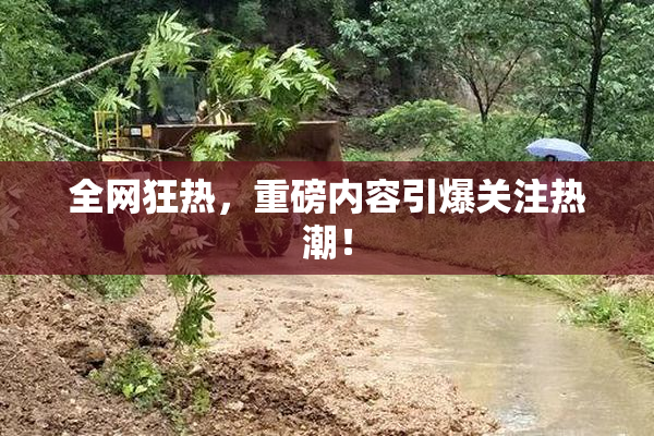 全网狂热，重磅内容引爆关注热潮！
