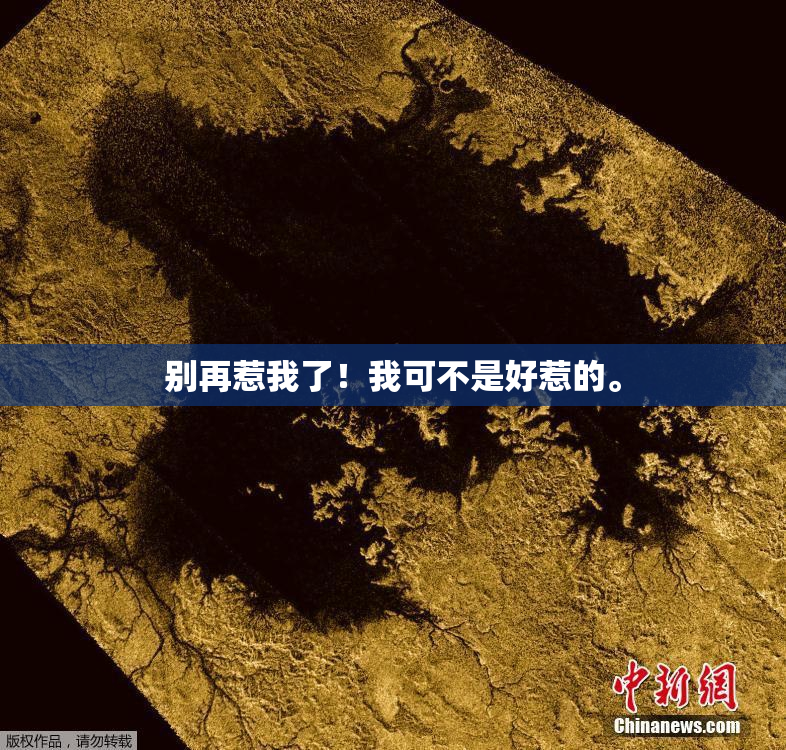 别再惹我了！我可不是好惹的。