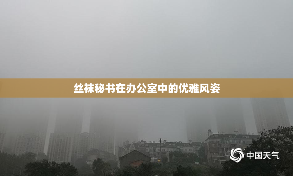 丝袜秘书在办公室中的优雅风姿