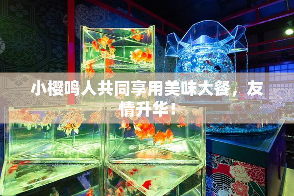 小樱鸣人共同享用美味大餐，友情升华！