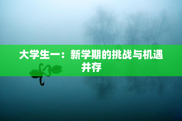 大学生一：新学期的挑战与机遇并存
