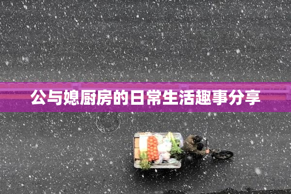 公与媳厨房的日常生活趣事分享