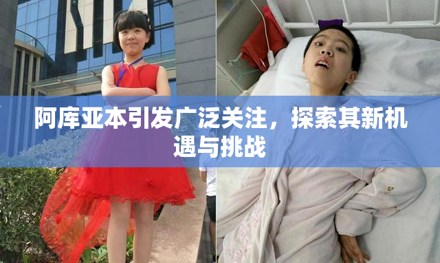 阿库亚本引发广泛关注，探索其新机遇与挑战