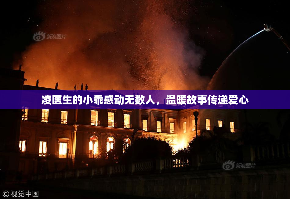 凌医生的小乖感动无数人，温暖故事传递爱心