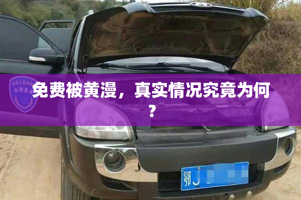 免费被黄漫，真实情况究竟为何？