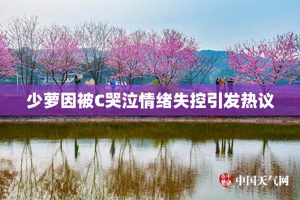 少萝因被C哭泣情绪失控引发热议