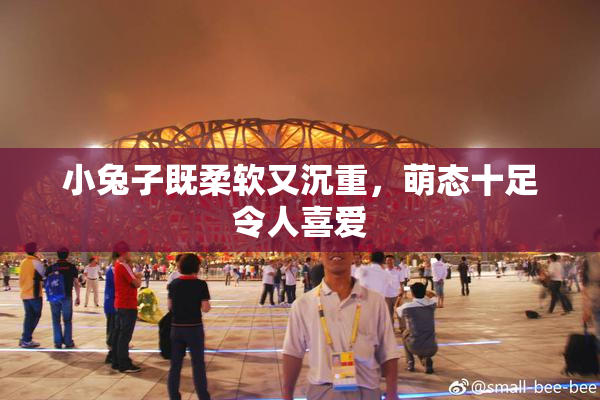 小兔子既柔软又沉重，萌态十足令人喜爱