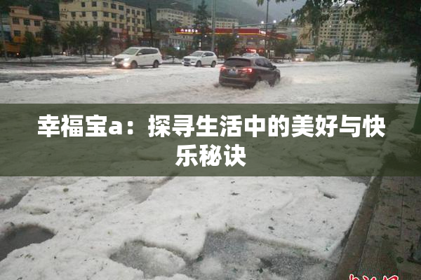 幸福宝a：探寻生活中的美好与快乐秘诀