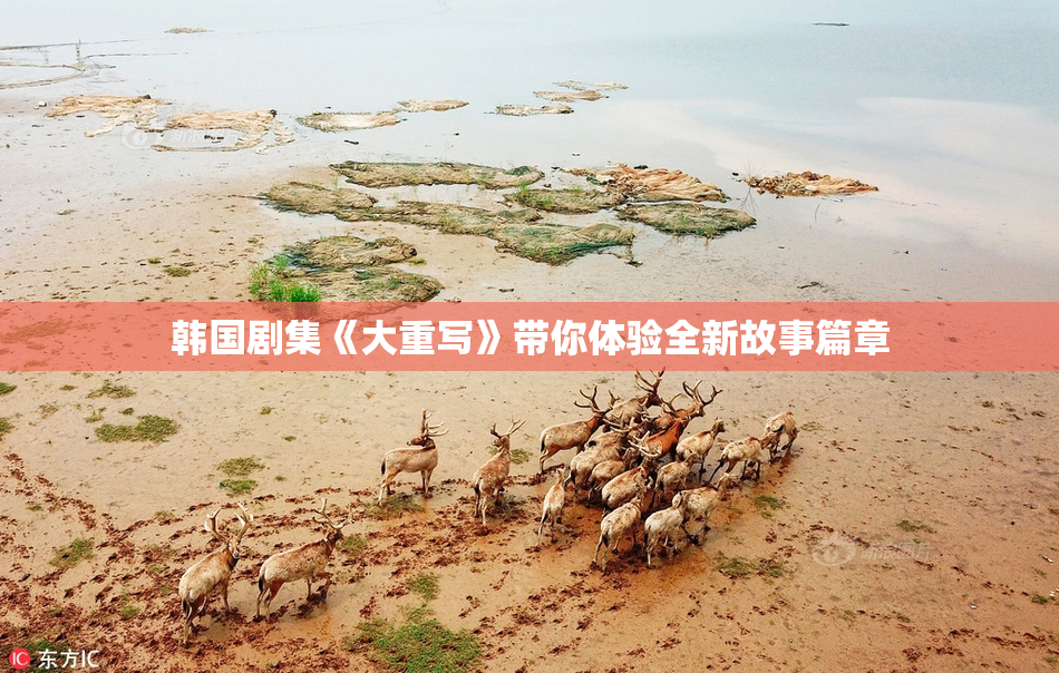 韩国剧集《大重写》带你体验全新故事篇章