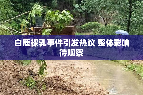 白鹿裸乳事件引发热议 整体影响待观察