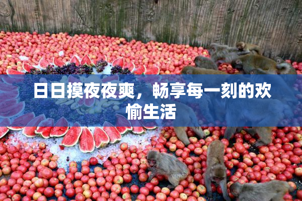 日日摸夜夜爽，畅享每一刻的欢愉生活