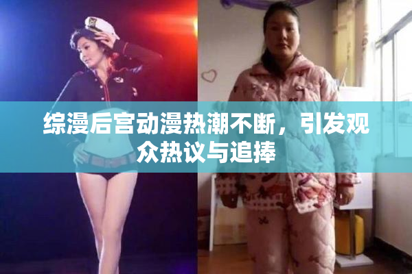 综漫后宫动漫热潮不断，引发观众热议与追捧
