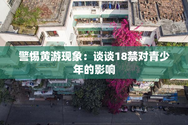 警惕黄游现象：谈谈18禁对青少年的影响