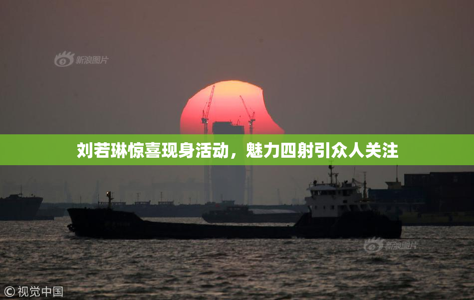刘若琳惊喜现身活动，魅力四射引众人关注